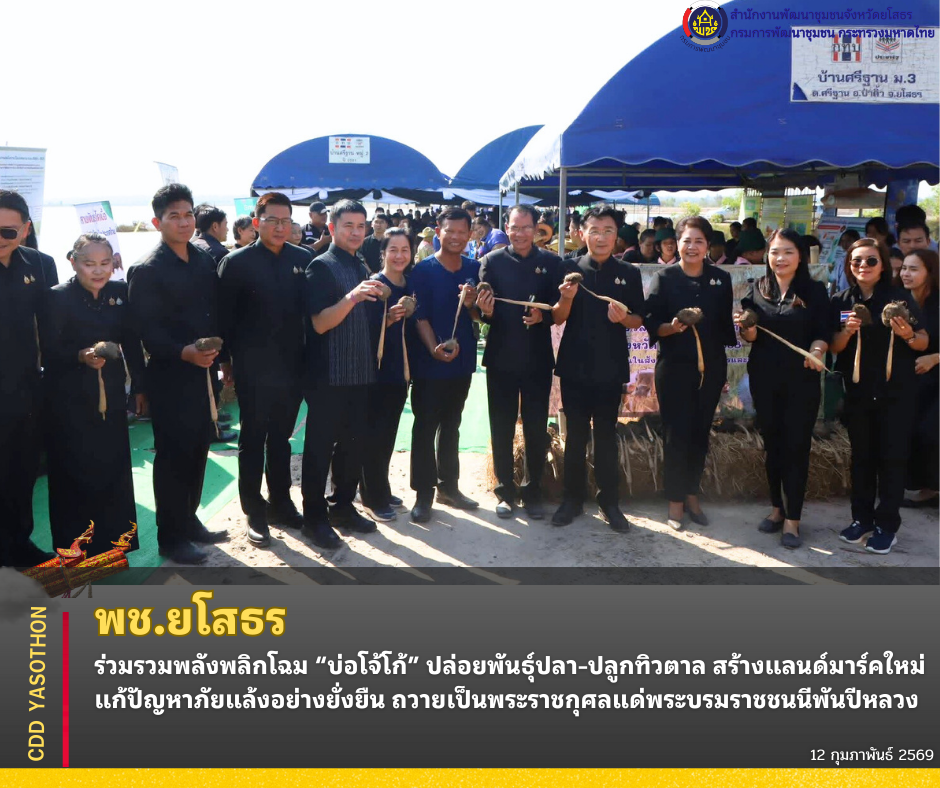 ✨พช.ยโสธร ร่วมรวมพลังพลิกโฉม “บ่อโจ้โก้” ปล่อยพันธุ์ปลา–ปลูกทิวตาล สร้างแลนด์มาร์คใหม่ แก้ปัญหาภัยแล้งอย่างยั่งยืน ถวายเป็นพระราชกุศลแด่พระบรมราชชนนีพันปีหลวง✨